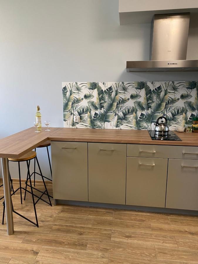 2 Tyskie Apartamenty Z Ogrodkiem Tychy Luaran gambar